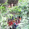notre cabane de branchage