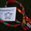 Foulards du Gros-de-Vaud et du Comte Vert