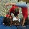 Acrobates
