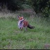 Jolie rencontre sur notre terrain de camp