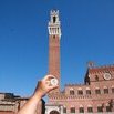 La Tour du Mangia à Sienne
