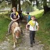 2005 : Balade en poney