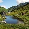 Un petit plongeon ? Ou peut-être un peu plus tard...